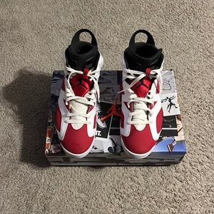 Air Jordan Retro 6 Carmine 2021 Release Size 13 Used Excellent Condition $190